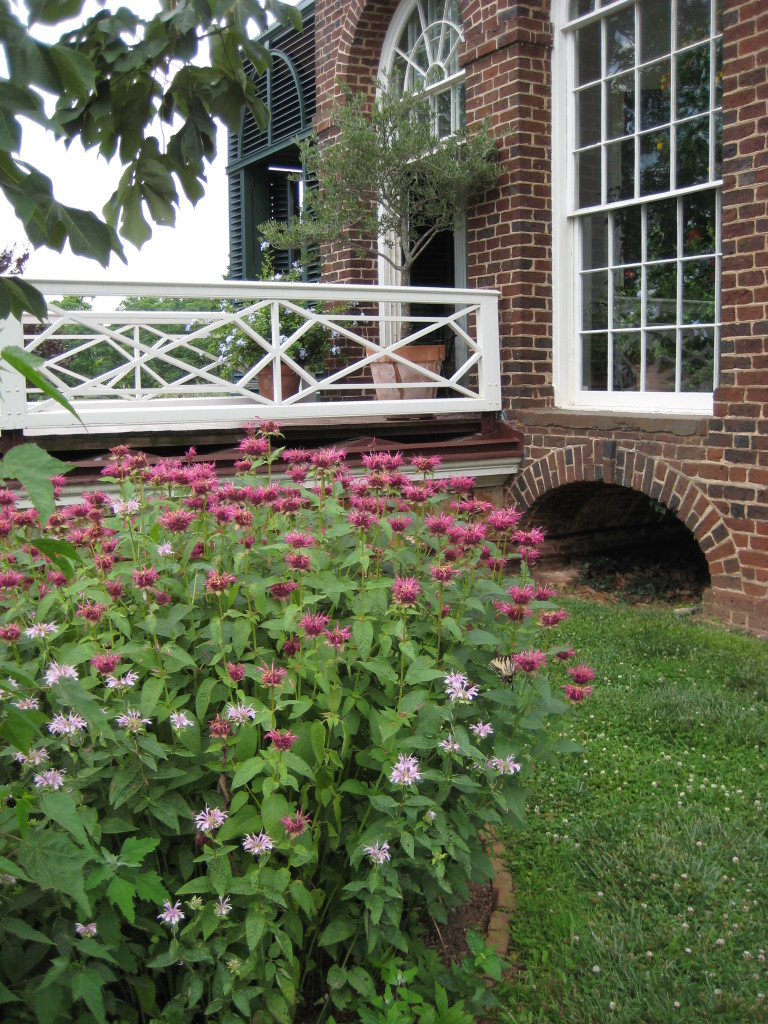 monticello 089