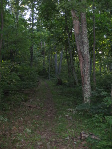 shenandoah national park trail