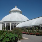 botanical garden 071