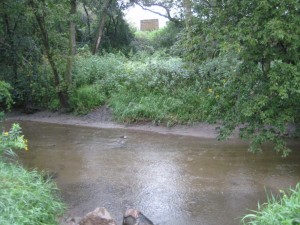 dugout plum creek