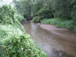 on the banks of plum creek