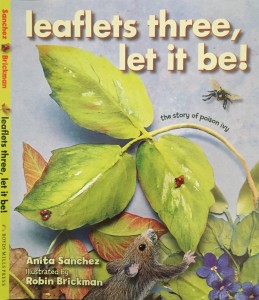 poison ivy leaflets cover