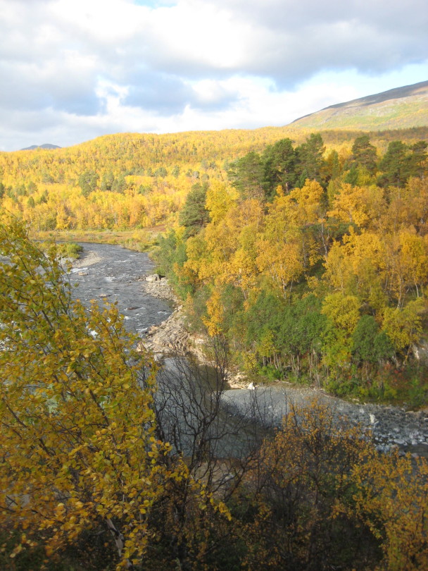 abisko national park