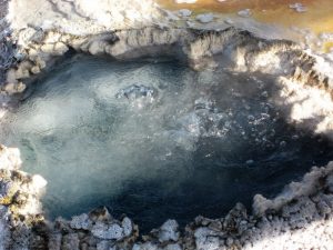 yellowstone hot spring