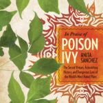 in praise of poison ivy sanchez