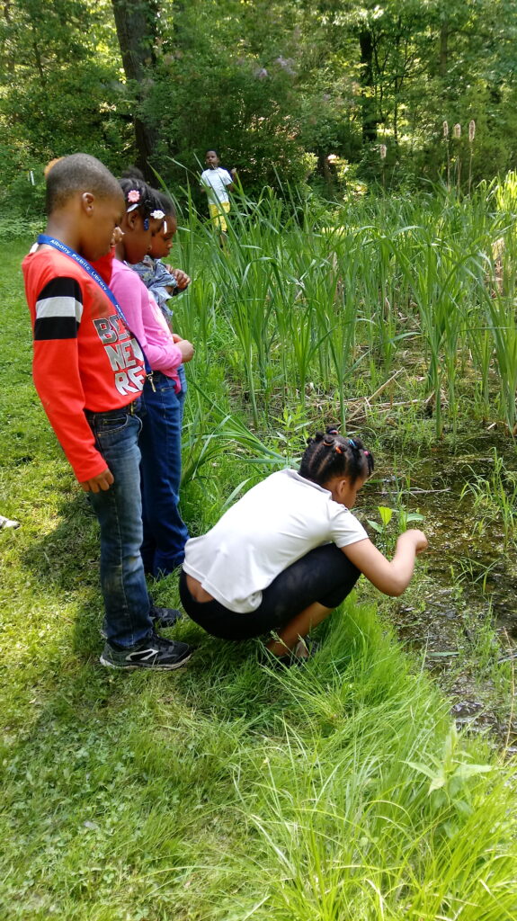 students near pond outdoors study nature