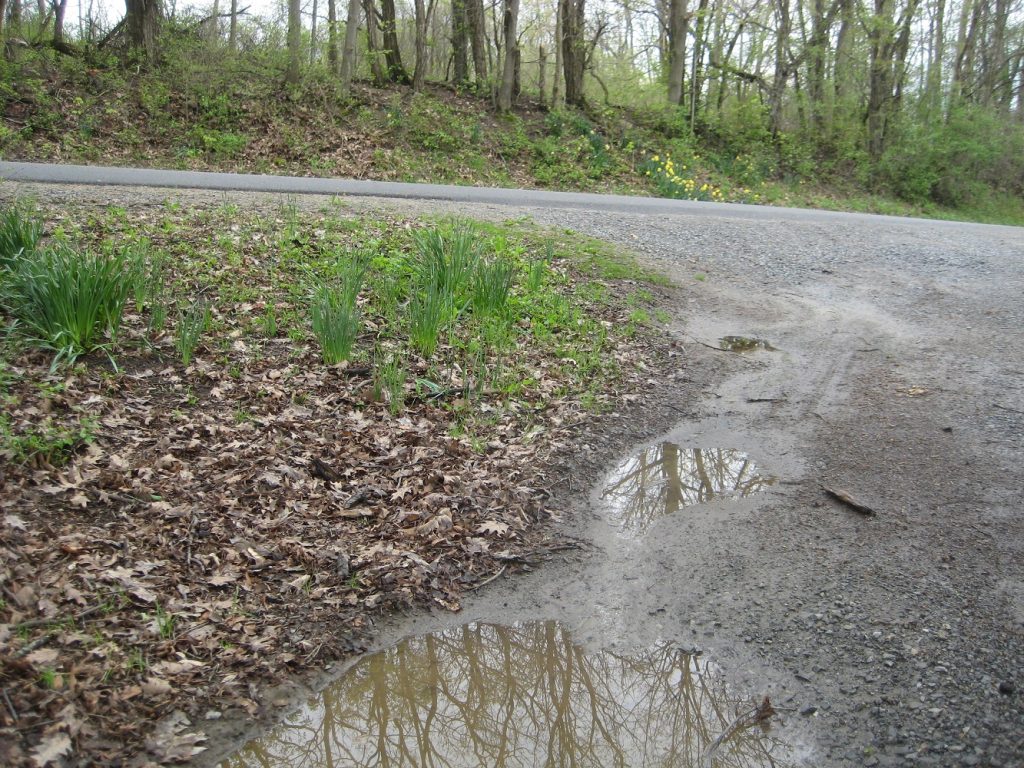 mud puddle country road