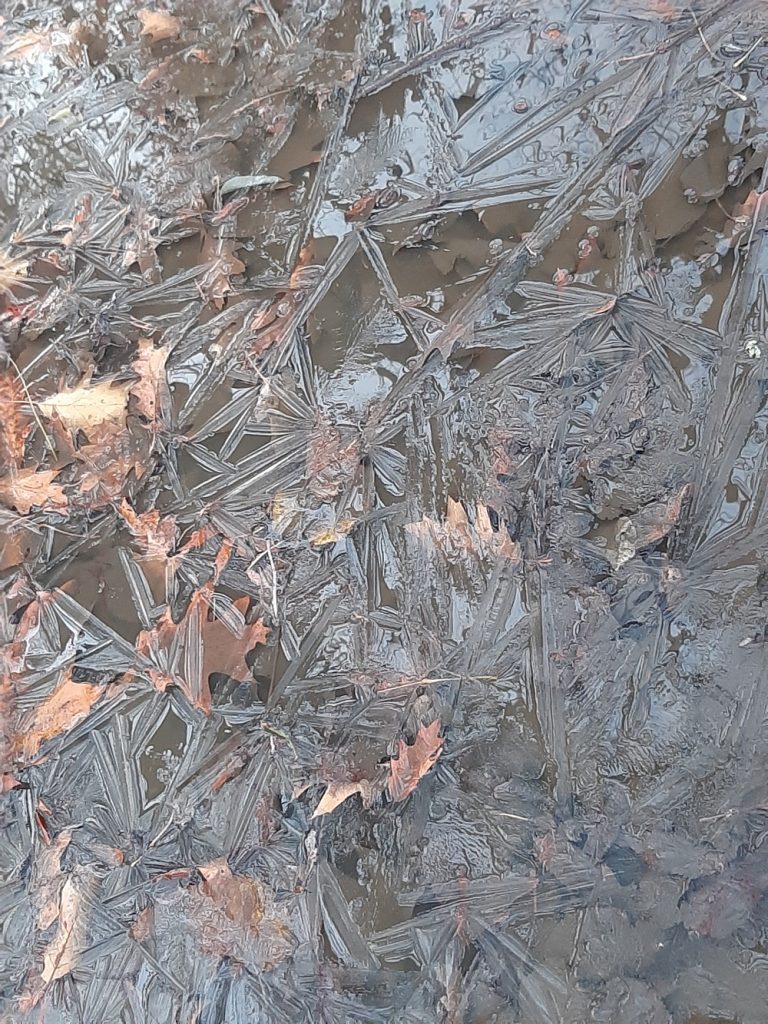 ice patterns on puddle