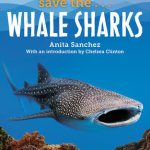 save the whale sharks sanchez